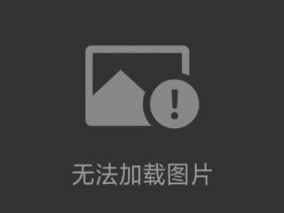 ZIBRA CORP毫米鏡檢測儀